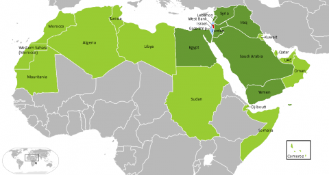 Arab Israeli Conflict